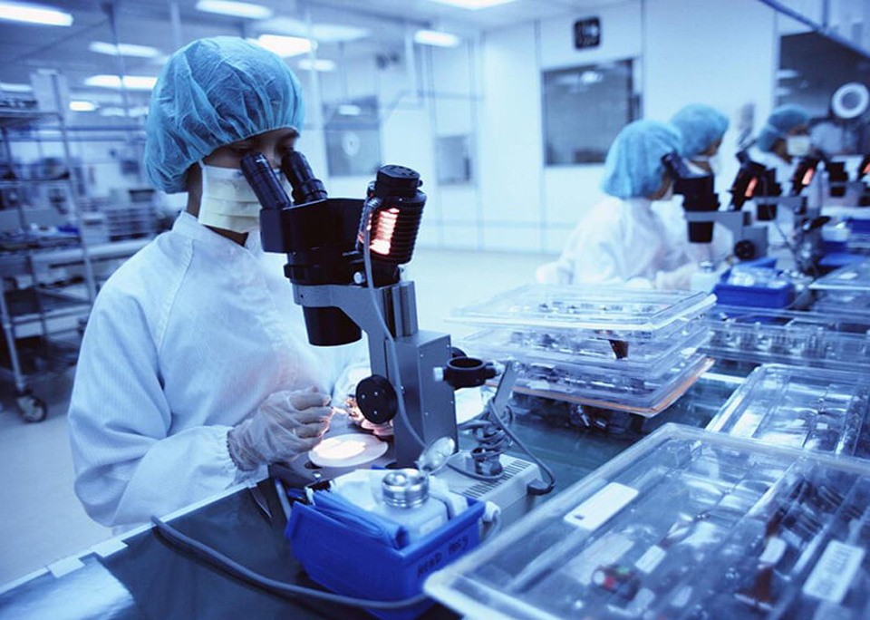 未來我們要做什么